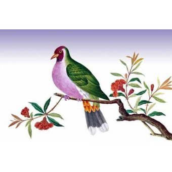 Tableaux d'Animaux - Cuadro de Animales - Pajaro sobre una rama - _Anónimo Chino