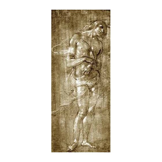 imagens de mapas, gravuras e aquarelas - Quadro -Figura masculina-