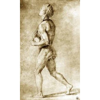 Tableaux Mappemondes - Tableau -Estudio de desnudo masculino-, Sanzio da Urbino Raffael Raphaël - Raphaël, Sanzio da Urbino Raffael