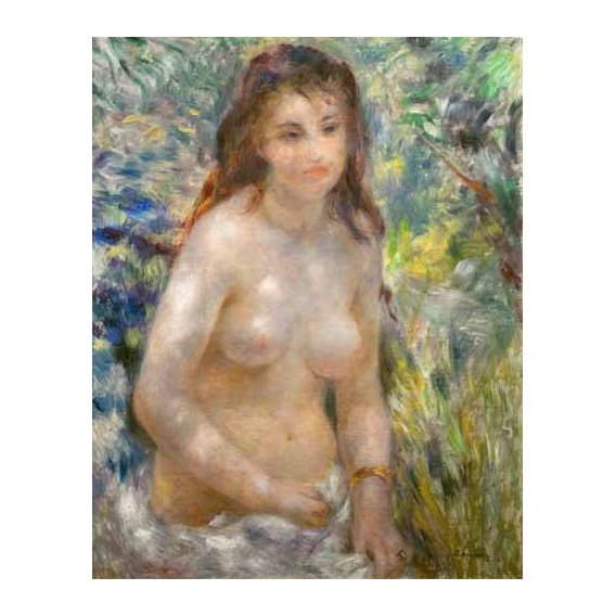 fotos nuas - Quadro -Etude, torse, effet de soleil-