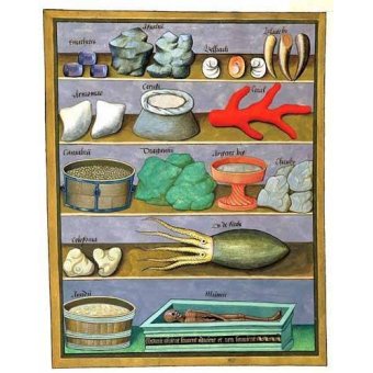  - Tableau -Libro de las medicinas sencillas 1-, Matthaeus Platearius - Platearius, Matthaeus
