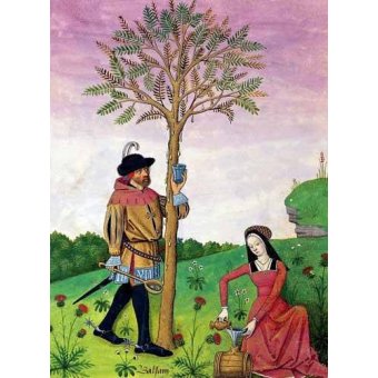  - Tableau -Livre de médicaments simples 4-, Matthaeus Platearius - Platearius, Matthaeus