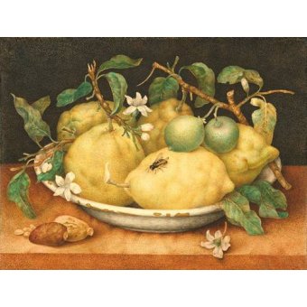  - Tableau -Bodegón con cesto de limones-, Giovanna Garzoni - Garzoni, Giovanna