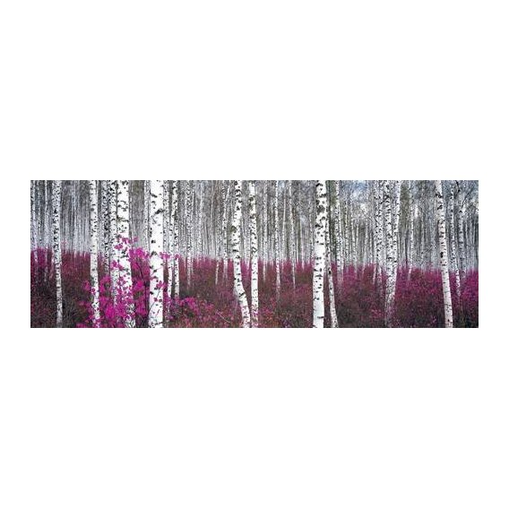 fotografia  - Quadro -CUGAT-54-