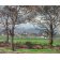 pinturas de paisagens - Quadro -Near Sydenham Hill-