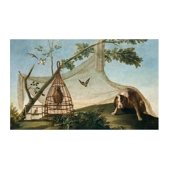 fotos de fauna - Quadro -Caza con reclamo-