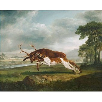 Tableaux d'Animaux - Cuadro de Animales - Hound Coursing a Stag (caza), George Stubbs - Stubbs, George