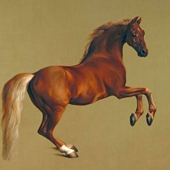 Tableaux d'Animaux - Cuadro de Animales - Whistlejacket-  (caballos), George Stubbs - Stubbs, George