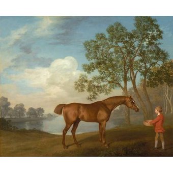 Tableaux d'Animaux - Tableau -Pumpkin with a Stable-lad- (caballos), George Stubbs - Stubbs, George