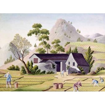 Tableaux Orientaux - Tableau -Campesinos en los arrozales- - _Anónimo Chino