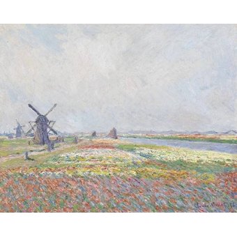  - Tableau -Champs de tulipes près de Rijnsburg, 1886-, Claude Monet - Monet, Claude