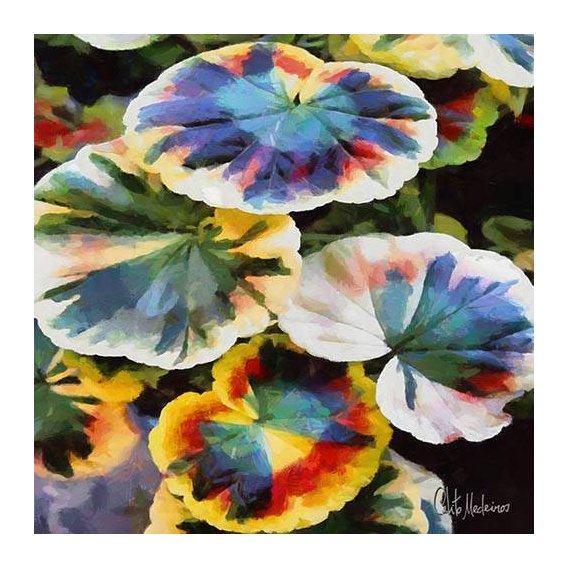 Quadro -Moderno CM13198-