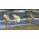 Quadro -Correndo na praia-