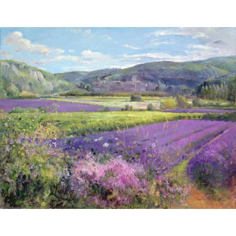 Tableau - Lavender Fields in Old Provence -, Timothy Easton