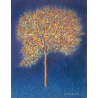  - Tableau -Tree in Blossom-, Peter Davidson - Davidson, Peter
