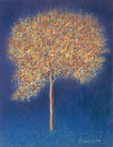 tableaux-modernes - Tableau -Tree in Blossom-, Peter Davidson - Davidson, Peter