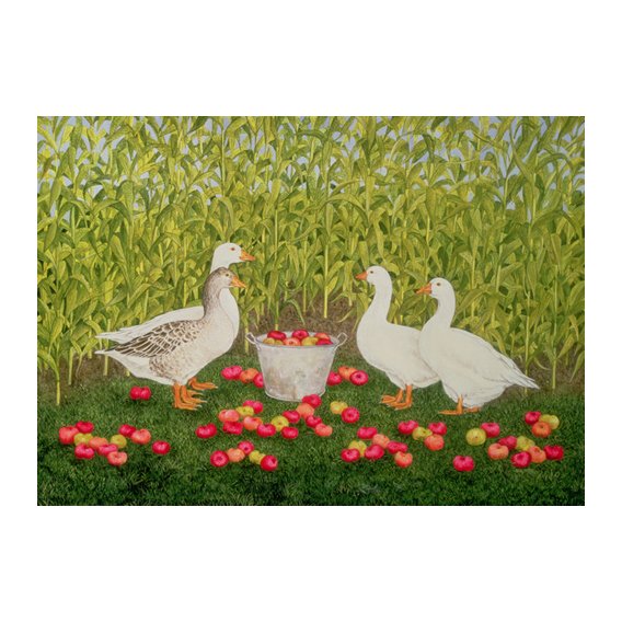 Tableau -Sweetcorn-Geese-