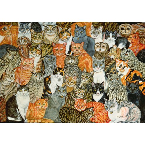 Tableau Salon - The Owls and the Pussycats, Ditz