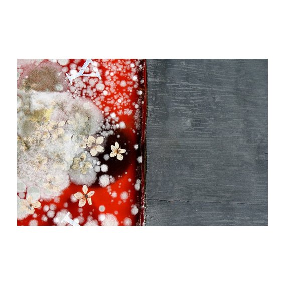 Tableau  -Immortality 2-
