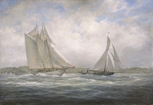 tableaux-de-marines - Tableau - Two Classics. 'Aello Beta' and 'Marigold' off the Isle of Wight, 2005 -, RIchard Willis - Willis, RIchard