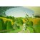 Tableau - Going Home, 1989 (oil on canvas) -