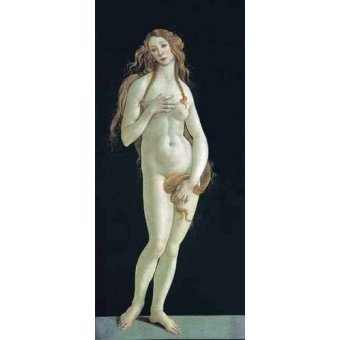 - Tableau -Venus-, Alessandro Botticelli - Botticelli, Alessandro