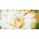 Tableau -The Rose, 1997-