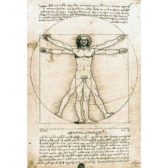  - Tableau -Homme de Vitruve-, Leonardo da Vinci - Vinci, Leonardo da