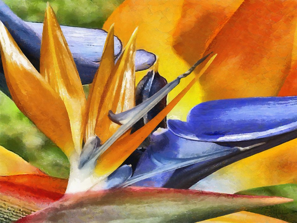 tableaux-modernes - Tableau -Moderne CFM8727-, Celito Medeiros - Medeiros, Celito