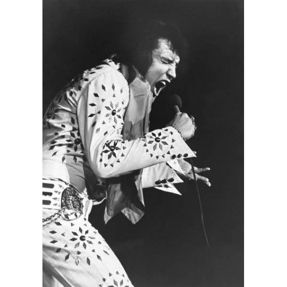 Tableau -Elvis Presley, in Elvis On Tour 1972