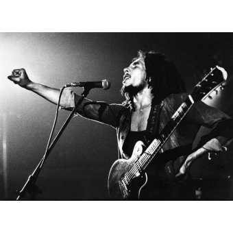 Tableaux Photos - Tableau -Bob Marley Bob Marley lors d'un spectacle, Pays-Bas 1977-1981. - BRIDGEMAN IMAGES