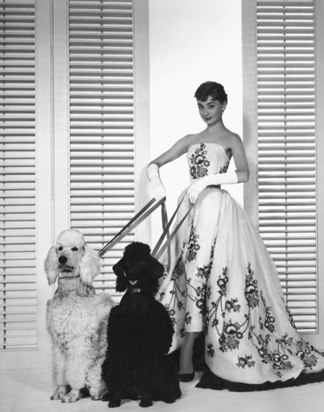 tableaux-photos - Audrey Hepburn, Sabrina 1954 Réalisé par Billy Wilder - BRIDGEMAN IMAGES