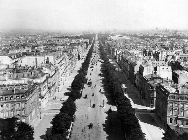 tableaux-photos - L'avenue bordée d'arbres des Champs-Elysées - BRIDGEMAN IMAGES