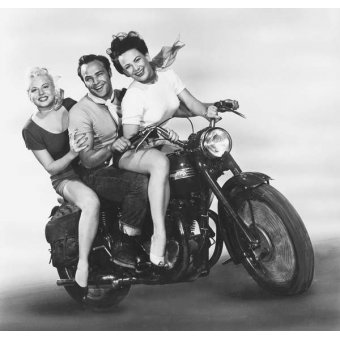 Tableaux Photos - Marlon Brando - BRIDGEMAN IMAGES