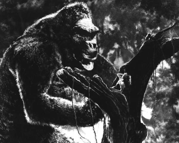 tableaux-photos - King Kong 1933 - BRIDGEMAN IMAGES