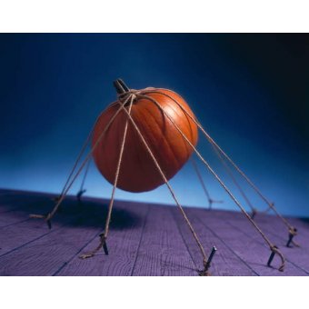  - Tableau Tethered Pumpkin, 1996, NORMAN HOLLANDS - Norman Hollands
