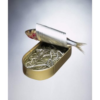  - Tableau Sardine Can Inversion, 1997, NORMAN HOLLANDS - Norman Hollands