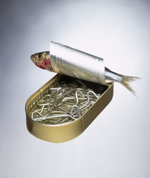 tableaux-modernes - Tableau Sardine Can Inversion, 1997, NORMAN HOLLANDS - Norman Hollands