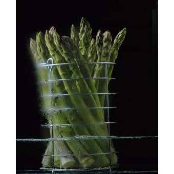 - Tableau Asparagus in steamer, 1994, NORMAN HOLLANDS - Norman Hollands
