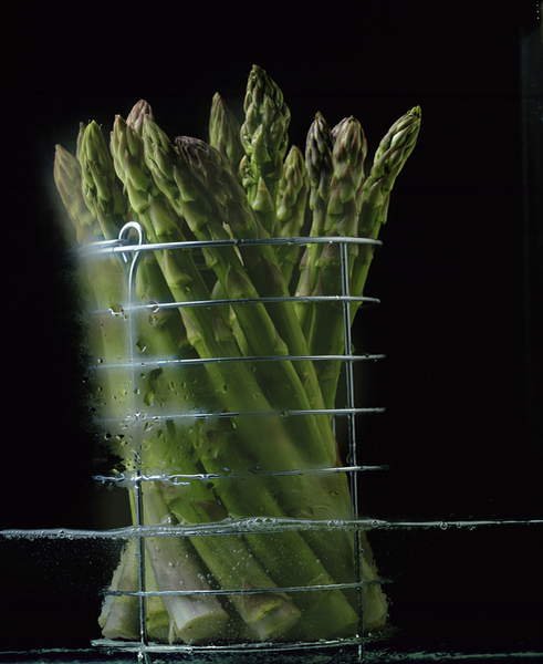 tableaux-modernes - Tableau Asparagus in steamer, 1994, NORMAN HOLLANDS - Norman Hollands