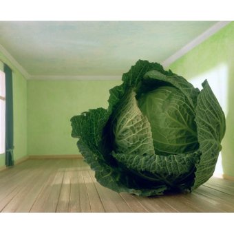  - Tableau Cabbage (after Magritte), 1995, NORMAN HOLLANDS - Norman Hollands