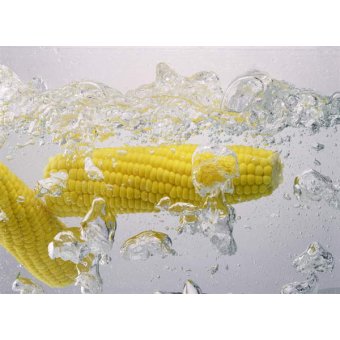  - Tableau Boiling sweetcorn, 2003, NORMAN HOLLANDS - Norman Hollands
