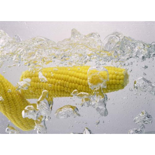 Tableau Boiling sweetcorn, 2003, NORMAN HOLLANDS