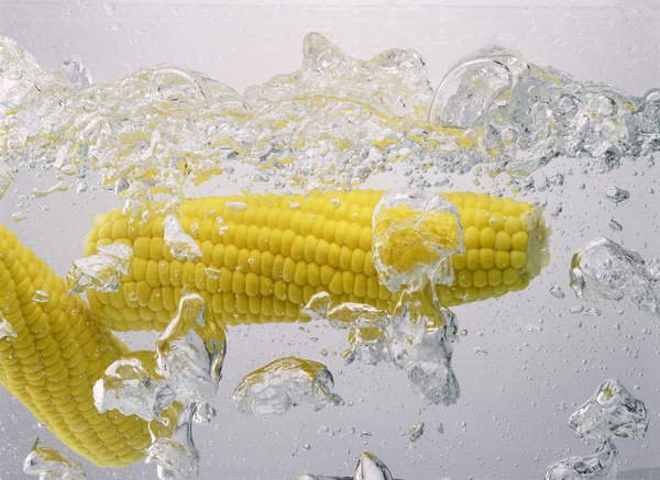 tableaux-modernes - Tableau Boiling sweetcorn, 2003, NORMAN HOLLANDS - Norman Hollands