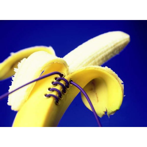 Tableau Banana in a basque, 2000, NORMAN HOLLANDS
