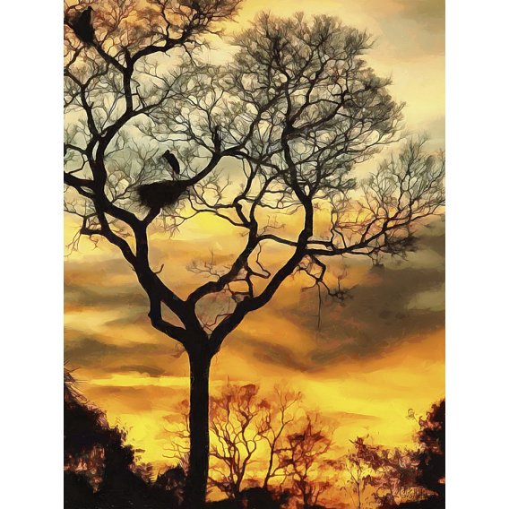 Tableau -Moderno CFM11697, Celito Medeiros