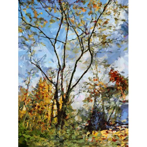 Tableau -Moderno CFM13439, Celito Medeiros