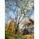 Tableau -Moderno CFM13439, Celito Medeiros