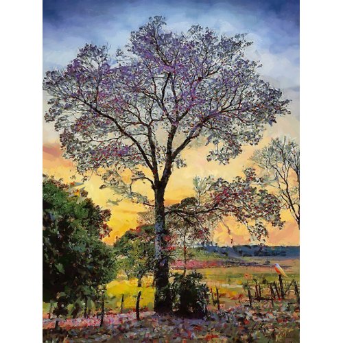 Tableau -Moderno CFM17895, Celito Medeiros