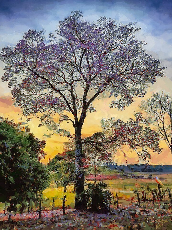 tableaux-modernes - Tableau -Moderno CFM17895, Celito Medeiros - Medeiros, Celito
